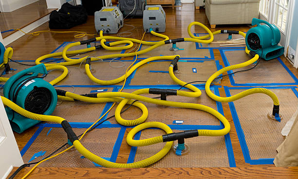Professional Basement Flood Cleanup technician working in Goldfield, IA